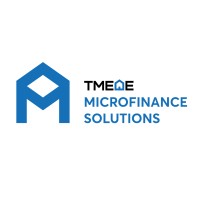 ΤΜΕΔΕ Microfinance Solutions logo - Similar company to Microsmart