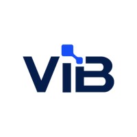 ViB logo - Similar company to Demandzen