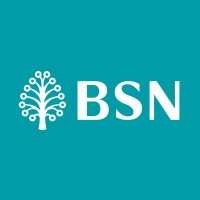 Bank Simpanan Nasional logo - Similar company to Affin Group