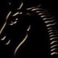 Professional Search, Inc. Int'l. logo - Similar company to Amplify Talent Solutions, Llc