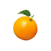 Orange Marmalade, Inc logo - Similar company to Intuitive Reason
