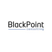 Blackpoint Consulting logo - Similar company to Ufuklar Engineering