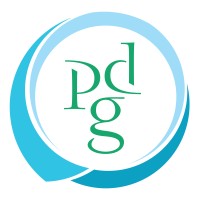 Performance Development Group logo - Similar company to Skillsource Learning Partners