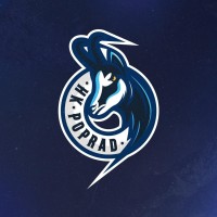 HK Poprad logo - Similar company to Alithius Performance
