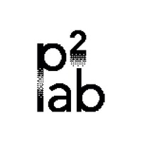 p2lab logo - Similar company to Zlg