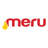 Mount Meru Group logo - Similar company to Afroil Tanzania