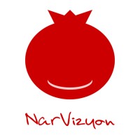 NarVizyon logo - Similar company to Msotechnic
