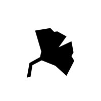 Ginkgomag logo - Similar company to M+B Studio Srl