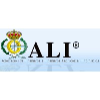 ALI logo - Similar company to Personal