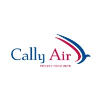 Cally Air logo - Similar company to Rlink Partners Llc