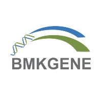 BMKGENE Europe logo - Similar company to Remote Native Gmbh