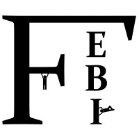 FEBI logo - Similar company to Crossfit 353