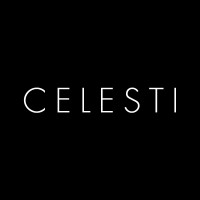 Celesti logo - Similar company to Celesti Solutions