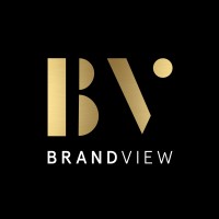 BRANDVIEW logo - Similar company to Tipitina'S