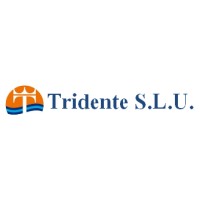 TRIDENTE SLU logo - Similar company to Opesh Store
