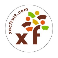 XOCFRUIT logo - Similar company to Masgames