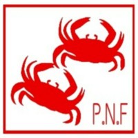 P N Fernando and Company Ltd logo - Similar company to Csr Sri Lanka