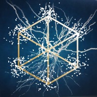 Kavli Institute for Systems Neuroscience logo - Similar company to Dion @Ntnu