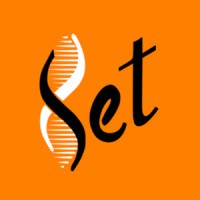 Set Consultoria logo - Similar company to Singular Ambiental