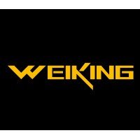 Guangdong WeiKing  Acoustic Co., Ltd. logo - Similar company to Dongguan Koppo Electronics Co., Ltd.