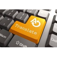 DM Translation logo - Similar company to Selection Valley Llc.