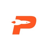 Princeton SpaceShot logo - Similar company to The Cubesat Development Education Initiative (