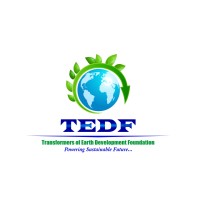 Transformers of Earth Development Foundation TEDF logo - Similar company to Silvercloud Media