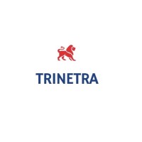 Trinetra Tech Consulting logo - Similar company to Tech Savvys