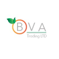 BVA Trading LTD logo - Similar company to Efematic
