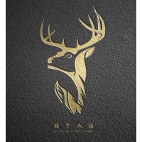 Stag Architects logo - Similar company to Stag Advertising