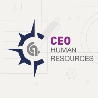 CEO İnsan Kaynakları ve Yönetim Danışmanlık Hizmetleri logo - Similar company to Çetin Group