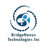 BridgeNexus Technologies Inc logo - Similar company to Silicon Spectra