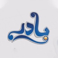 Badir - بادر logo - Similar company to Baader Foundation For Development - مؤسسة بادر للتنمية