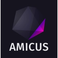 Amicus Enterprises logo - Similar company to Digital 1