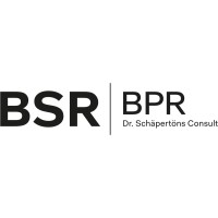 BPR Dr. Schäpertöns Consult GmbH & Co. KG logo - Similar company to M2Ing - Bauwerke Digital Prüfen Und Verwalten