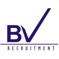 BV RECRUITMENT LTD logo - Similar company to Medtechrecruitment