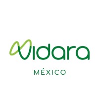 VIDARA MEXICO logo - Similar company to Light Atmosphere Design