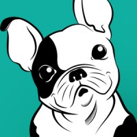 Clínica Veterinária São Francisco logo - Similar company to Petshop