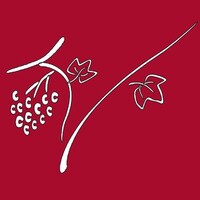 Vinicola Muneratti logo - Similar company to Sustainnovation