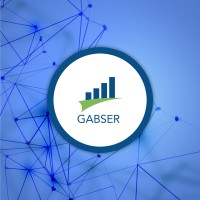 Gabser SRL logo - Similar company to Gabser