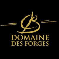 DOMAINE DES FORGES logo - Similar company to Neoden - Spa De Flottaison