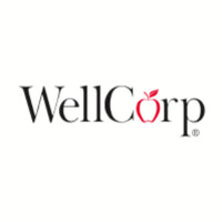 WellCorp logo - Similar company to Pasutech Solutions
