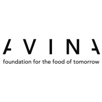 AVINA Stiftung logo - Similar company to Fiddlehead Foundation