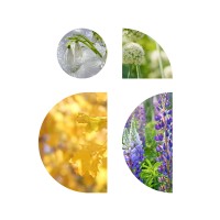 Axplora logo - Similar company to Ximo - The Innovation Catalyst