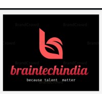 BRAIN TECH INDIA logo - Similar company to Braintech