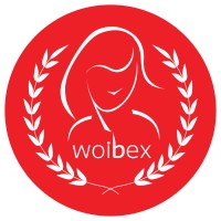 Woibex logo - Similar company to Datamatix