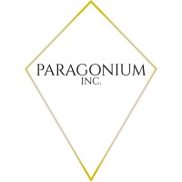 Paragonium, Inc logo - Similar company to Pro Solutions Group