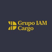 Grupo IAM Cargo logo - Similar company to Virtual Core