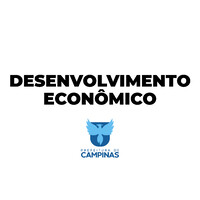 Secretaria de Desenvolvimento Econômico Campinas logo - Similar company to Sedetur - Secretaria De Desenvolvimento Econômico E Turismo De Alagoas