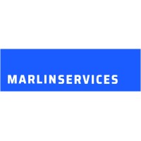 BLUE MARLIN CONNECTION CONSULTANTS FCZO logo - Similar company to Targus K1